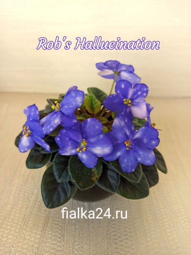 Rob's Hallucination (Robinson)