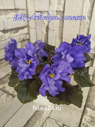 ЕК-Аквабриллиант 