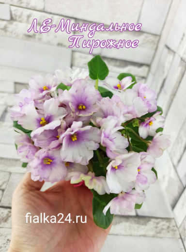 ЛЕ-Миндальное пирожное