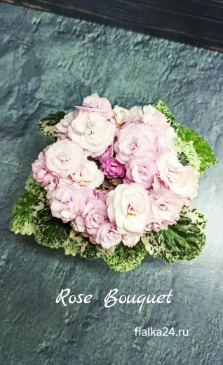 Rose Bouquet (Addison)