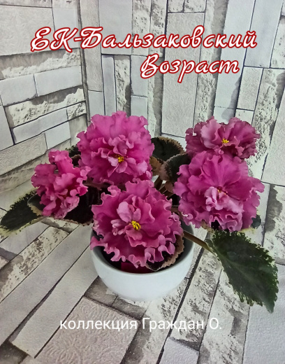 ЕК-Бальзаковский Возраст