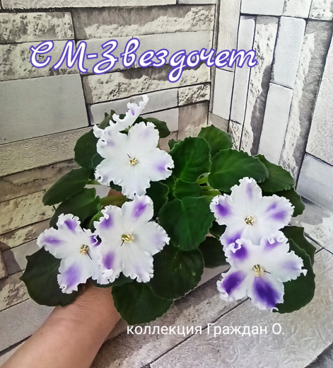 СМ-Звездочет