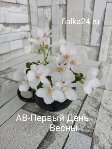 АВ-Первый День Весны