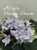 Allegro Chicory Charm (Stromborg)