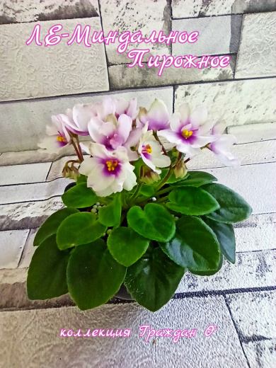 ЛЕ-Миндальное пирожное