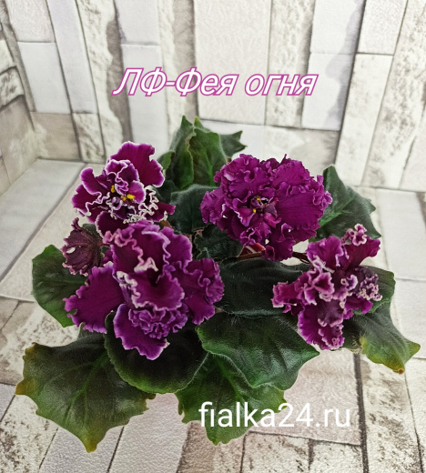 ЛФ-Фея огня