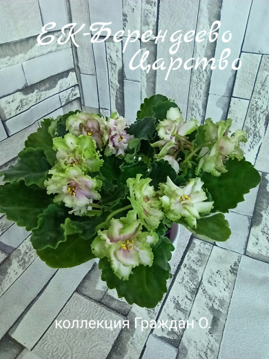 ЕК-Берендеево Царство