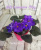 ЕК-Лазерное Шоу