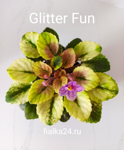 Glitter Fun (Pittman)