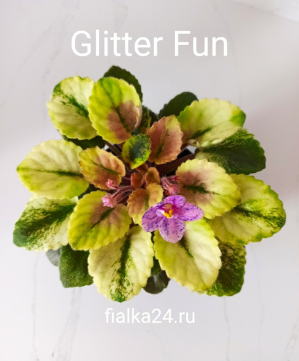 Glitter Fun (Pittman)