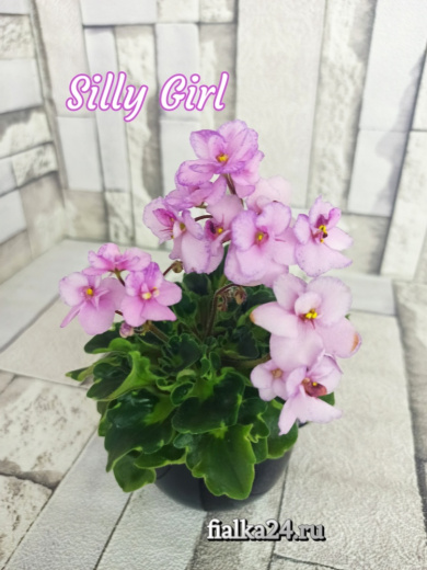 Silly Girl (LLG)