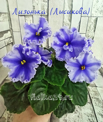 Лизонька (Т. Лысикова)