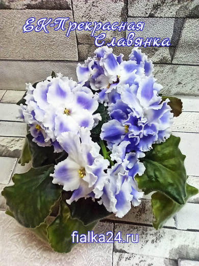 ЕК-Прекрасная Славянка