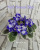 Park Avenue Blue (LLG/Sorano)