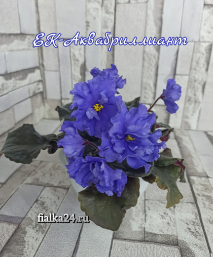 ЕК-Аквабриллиант 