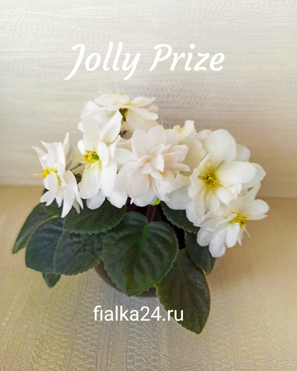 Jolly Prize (Pittman)