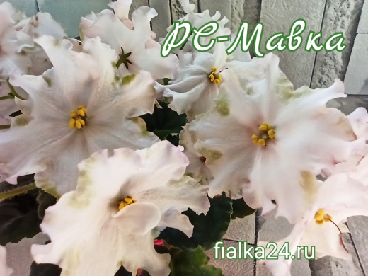 РС-Мавка