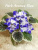 Park Avenue Blue (LLG/Sorano)