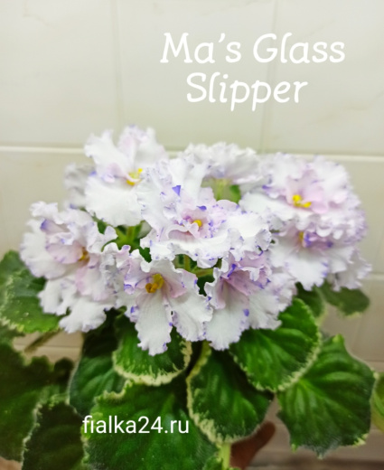 Ma's Glass Slipper (Robinson)