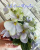 ЛЕ-Сон-Трава