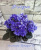 Н-Адам