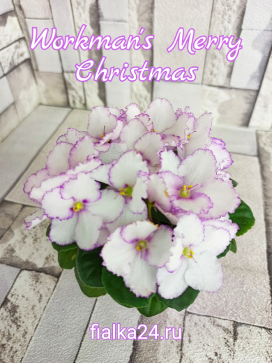 Volkmann's Merry Christmas (Vokmann)