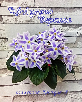 DS-Лунная дорожка
