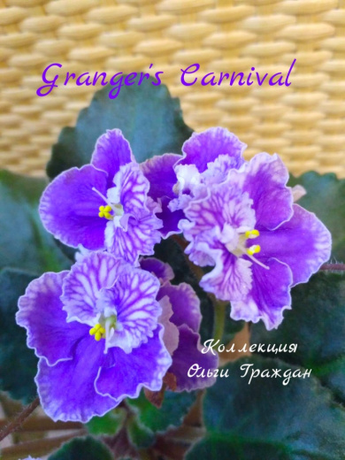 Granger’s Carnival (Eyerdom)  