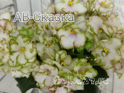 АВ-Сказка