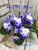 Valeska Blue (Fischer)