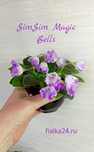 SimSim Magic Bells (A.Mayer)