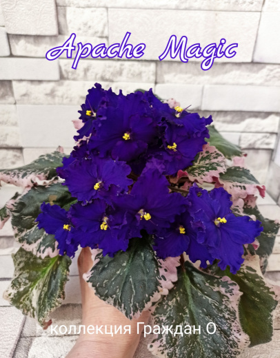 Apache Magic (J.Munk)
