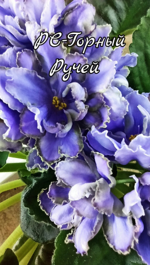 РС-Горный Ручей