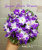 Sugar Plum Dream (LLG/Sorano)