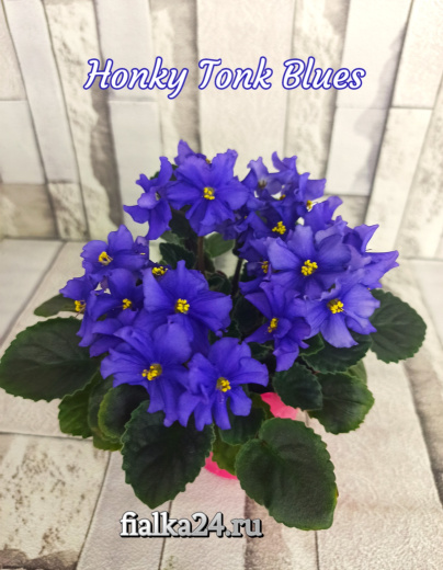 Honky Tonk Blues (LLG/Sorano)