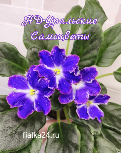 НД-Уральские Самоцветы