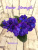 Inner Strength (LLG/Sorano)
