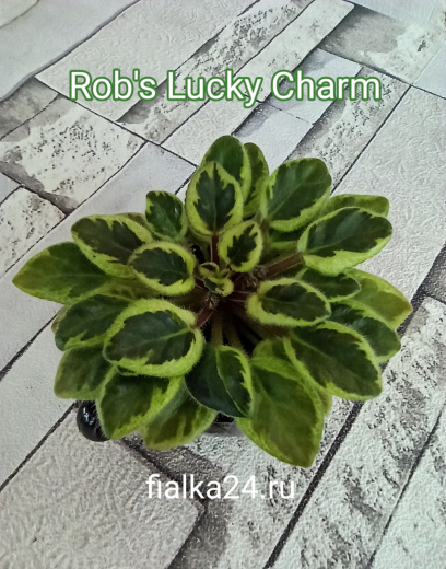 Rob's Lucky Charm (Robinson)