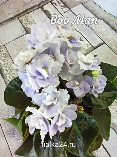 Boo Man (Sorano)