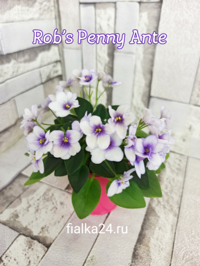 Rob's Penny Ante (Robinson)