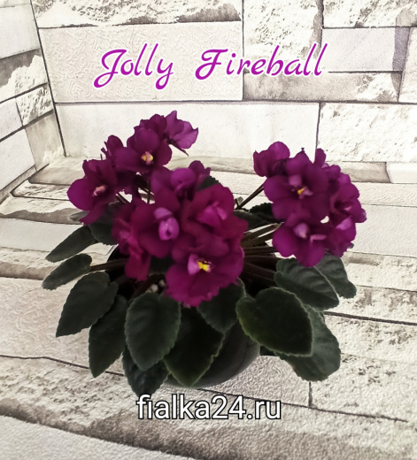 Jolly Fireball (Pitman)