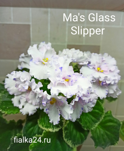 Ma's Glass Slipper (Robinson)