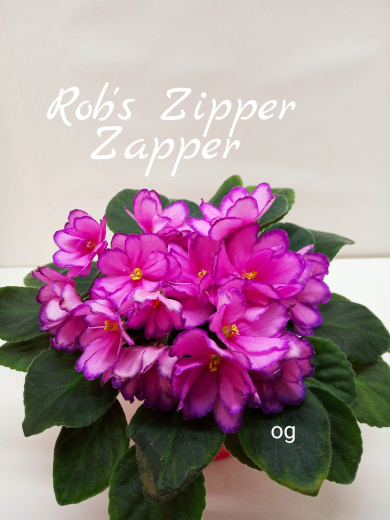 Rob’s Zipper Zapper (Robinson)