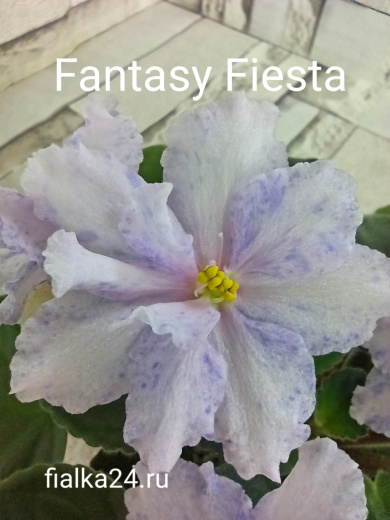 Fantasy Fiesta (J.Eyerdom)