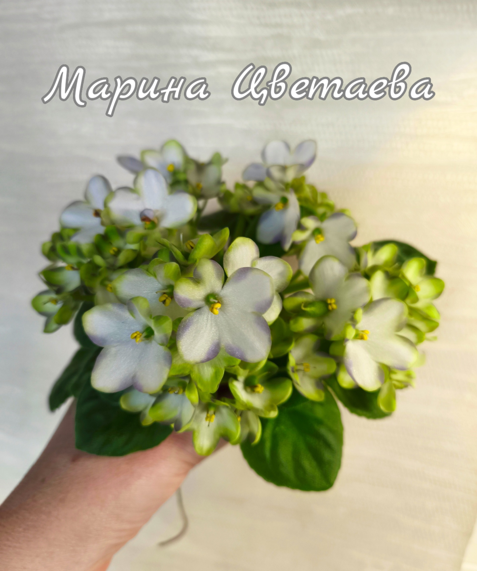 Марина Цветаева (Басенина)