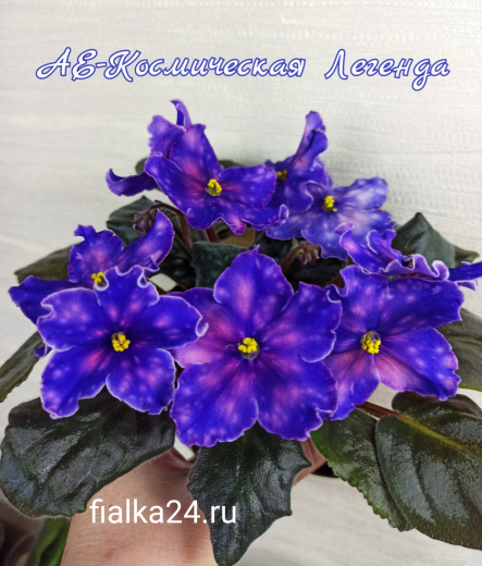 АЕ-Космическая Легенда
