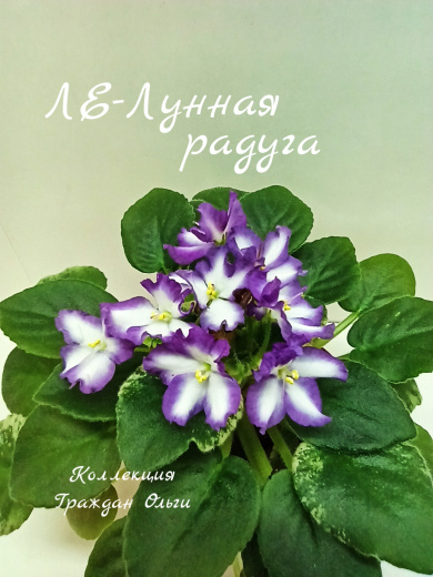 ЛЕ-Лунная радуга