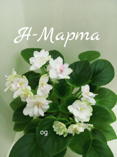 Н - Марта
