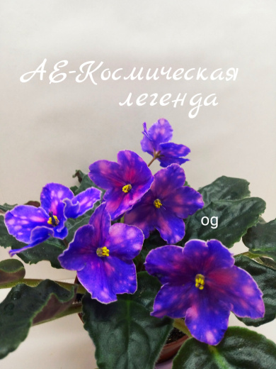 АЕ-Космическая Легенда