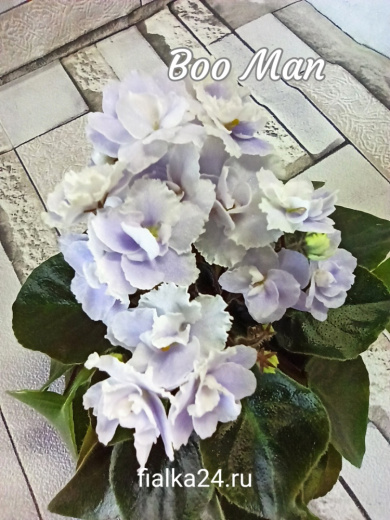 Boo Man (Sorano)
